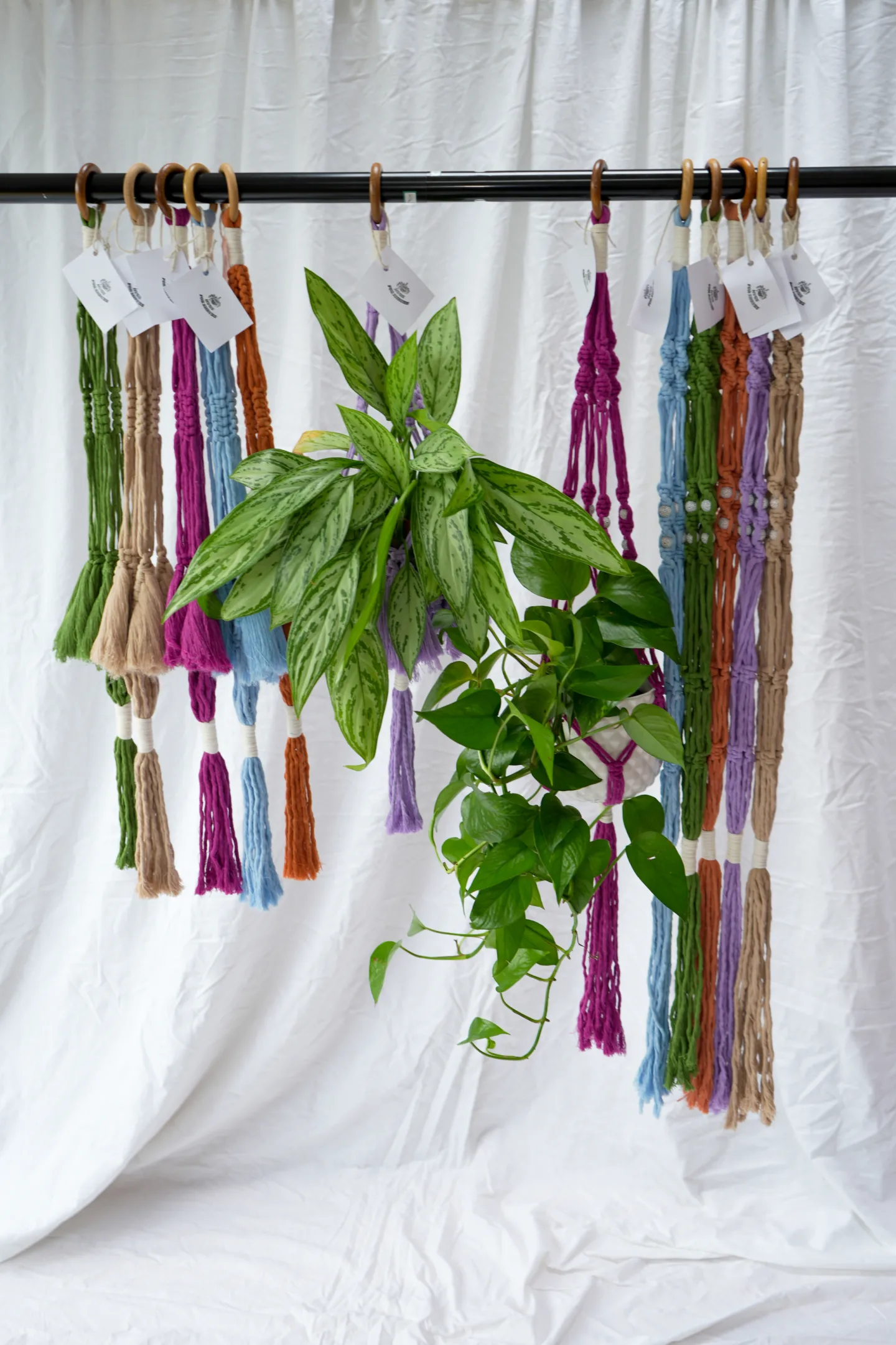 HUGS-FOR-SHRUBS-15