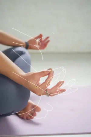 the yoga birdy